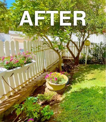 Example after: a trimmed lawn and edged beds