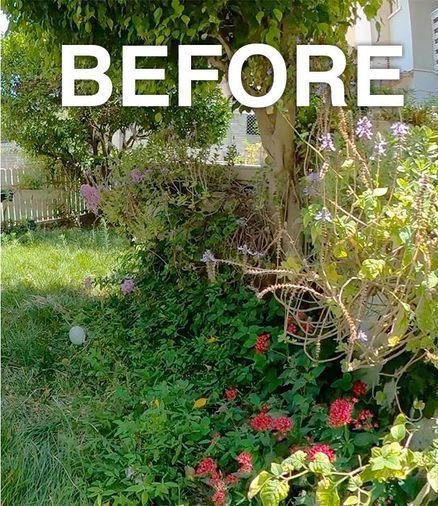 Example before: an untidy side garden